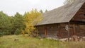 Rural barn against the background of yellowing trees Royalty Free Stock Photo