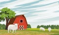 Rural barn on the field. Farm. Forest and pasture with grazing white sheep