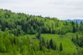 Rural barn in woods on a hill Royalty Free Stock Photo