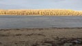 Rural beach, river and yellow autumn shore with trees