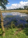 Rural Bengal nature Chitholia Parshuram