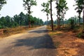 Rural black Peach Road with red soil road in the jungle surrounded by green trees at Indian Village