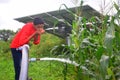 Rural boy drinks water on water jet, agricultural equipment for field irrigation, solar panel`s, corn plants, Rain fog Royalty Free Stock Photo