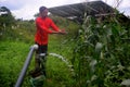 Rural boy drinks water on water jet, agricultural equipment for field irrigation, solar panel`s, corn plants, Rain fog Royalty Free Stock Photo