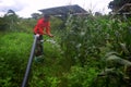 Rural boy drinks water on water jet, agricultural equipment for field irrigation, solar panel`s, corn plants, Rain fog Royalty Free Stock Photo