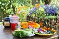 Rural breakfast with flowers Royalty Free Stock Photo