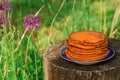 Rural breakfast of pumpkin pancakes. Picnic with healthy and wholesome food in the nature. Purple allium flowers. Royalty Free Stock Photo