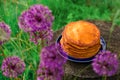 Rural breakfast of a stack of pumpkin pancakes in the fresh air. Picnic with healthy and wholesome food in the nature.