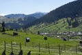 Rural Carpathian landscape Romania Royalty Free Stock Photo