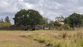 Rural Cattle Yards Royalty Free Stock Photo