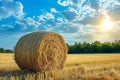 Rural charm Natural landscape featuring a field with hay bale