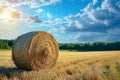 Rural charm Natural landscape featuring a field with hay bale