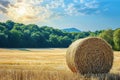 Rural charm Natural landscape featuring a field with hay bale