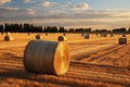 Rural charm Natural landscape featuring a field with hay bale