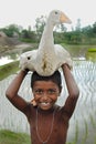 Rural Children in India Royalty Free Stock Photo