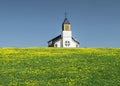 Rural church in a field with yellow flowers Royalty Free Stock Photo