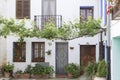 Rural facade with plants and a trellis, Mediterranean atmosphere