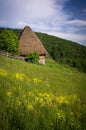 Rural cottage with cane roof in remote rural area of Transylvania mountains