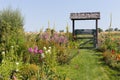 rural cottage garden in hot summer day of july Royalty Free Stock Photo