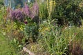 rural cottage garden in hot summer day of july Royalty Free Stock Photo