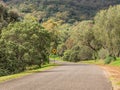 Rural country road in Australia, with a kangaroo traffic warning sign Royalty Free Stock Photo