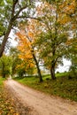 Rural country road automn fall view Royalty Free Stock Photo