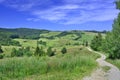 Rural country road in a grassy meadow on a blue sky with white clouds background Royalty Free Stock Photo