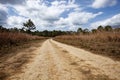 Rural country road in thailand Royalty Free Stock Photo