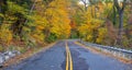 A rural country road travels between trees showing bright fall color as winter approaches Royalty Free Stock Photo
