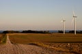 Rural Country scene on Lake Erie