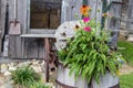 Rural Country Style Backyard Garden Royalty Free Stock Photo