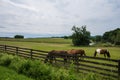 Rural Country York County Pennsylvania Farmland, on a Summer Day Royalty Free Stock Photo