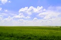 Rural countryside farm grass field pasture with bright blue sky and puffy white clouds shot as a landscape scene Royalty Free Stock Photo