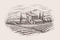 Rural countryside landscape with farm house and vineyard. Vector illustration landscape nature with agrarian fields