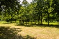 Rural Countryside Landscape