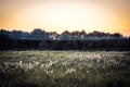 Rustic countryside landscape during sunrise at summer meadow with flowers and dramatic moody sky with clouds in vintage style Royalty Free Stock Photo