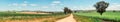 Dirt road through rural countryside panorama Royalty Free Stock Photo