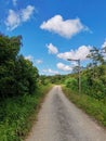 Rural countryside road through meadow fields with green herbs and blue sky with clouds and a broken abandoned street light Royalty Free Stock Photo