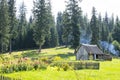 Rural courtyard near the spruce forest Royalty Free Stock Photo