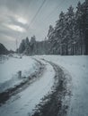 Rural dirt road covered with melted snow with traces of car tires. Selective focus Royalty Free Stock Photo