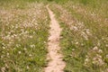 Rural Dirt Road with Fields in Background