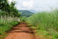 Rural dirt road and green meadow on long way Royalty Free Stock Photo