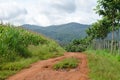 Rural dirt road and green meadow on long way Royalty Free Stock Photo