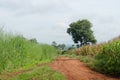 Rural dirt road and green meadow on long way Royalty Free Stock Photo