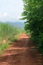 Rural dirt road and green meadow in rural villages Royalty Free Stock Photo