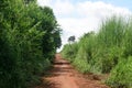 Rural dirt road and green meadow in rural villages Royalty Free Stock Photo