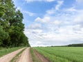 Rural dirt road, green wheat agriculture field Royalty Free Stock Photo