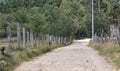 Rural road in middle of the countryside