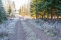 Rural dirt road and rime Royalty Free Stock Photo