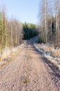 Rural dirt road and rime Royalty Free Stock Photo